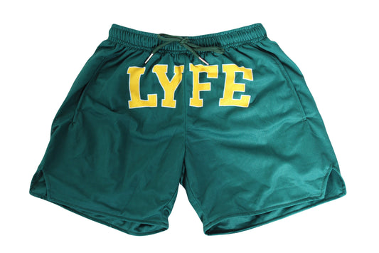 Green Mesh Shorts